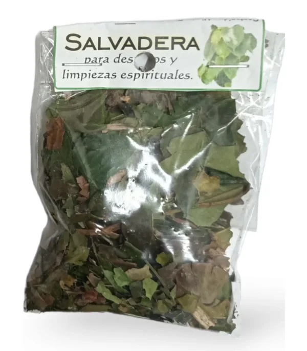hierba salvadera