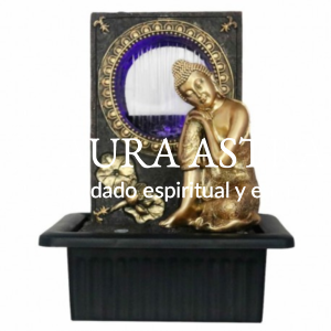 Fuente Buda 5