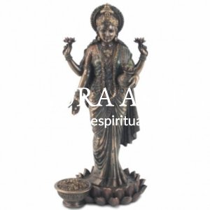 Lakshmi plantado