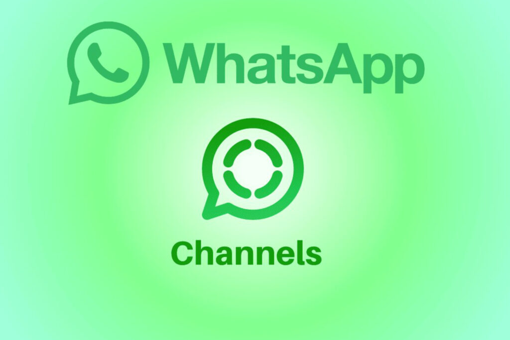 canal de whatsapp