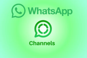 canal de whatsapp