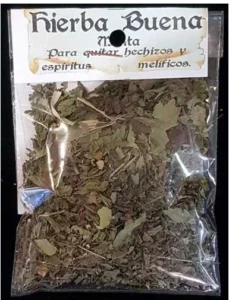 Hierbabuena
